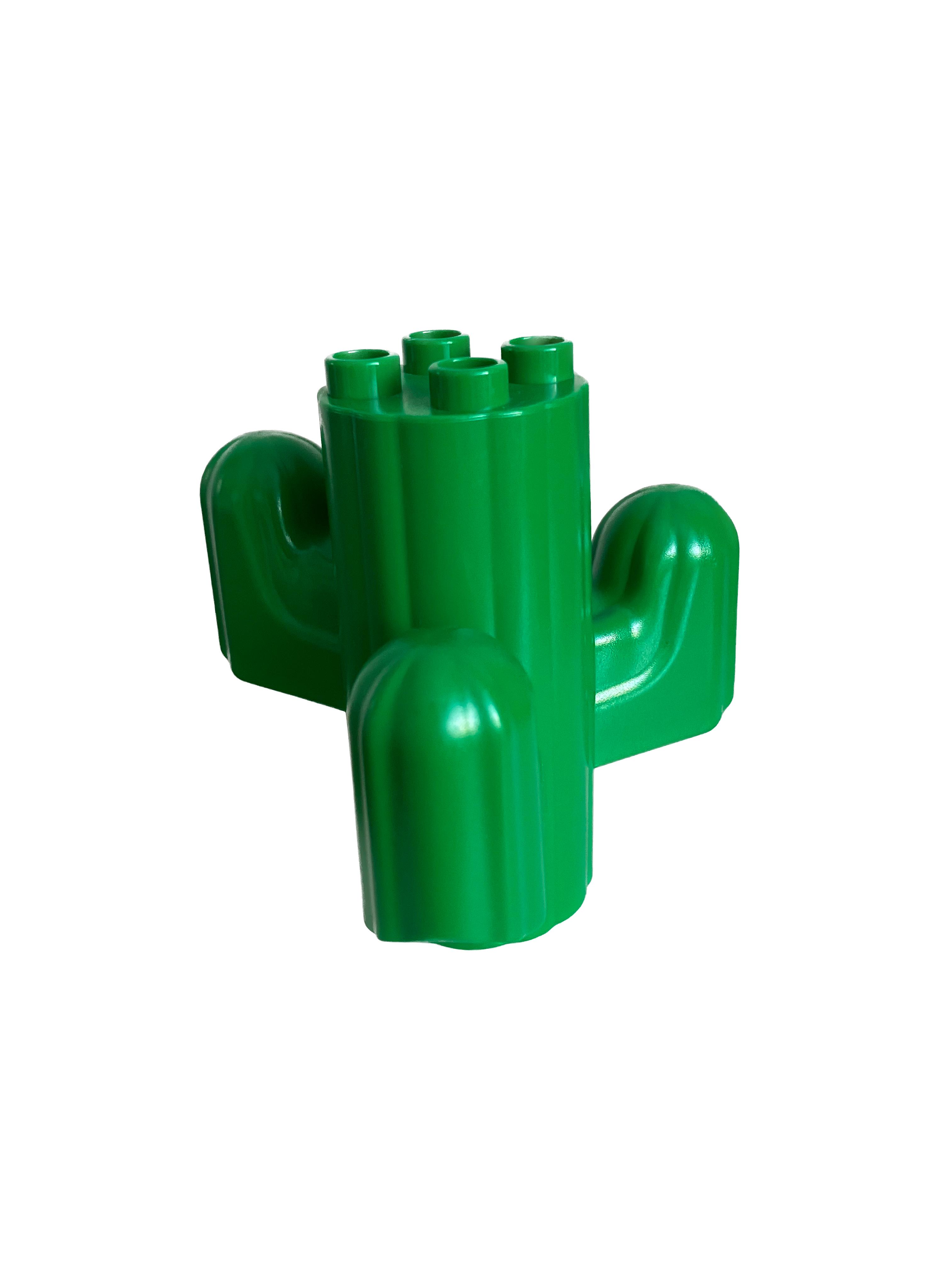 hemd kaktus Kaktus-Hemd – PXP main image 1