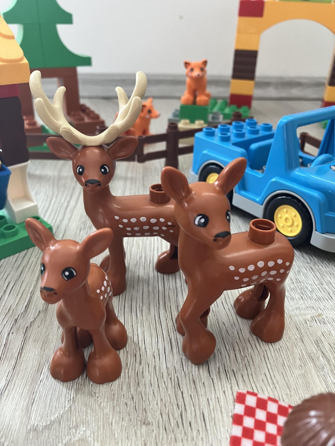 Lego® Duplo® 10584 Lesopark