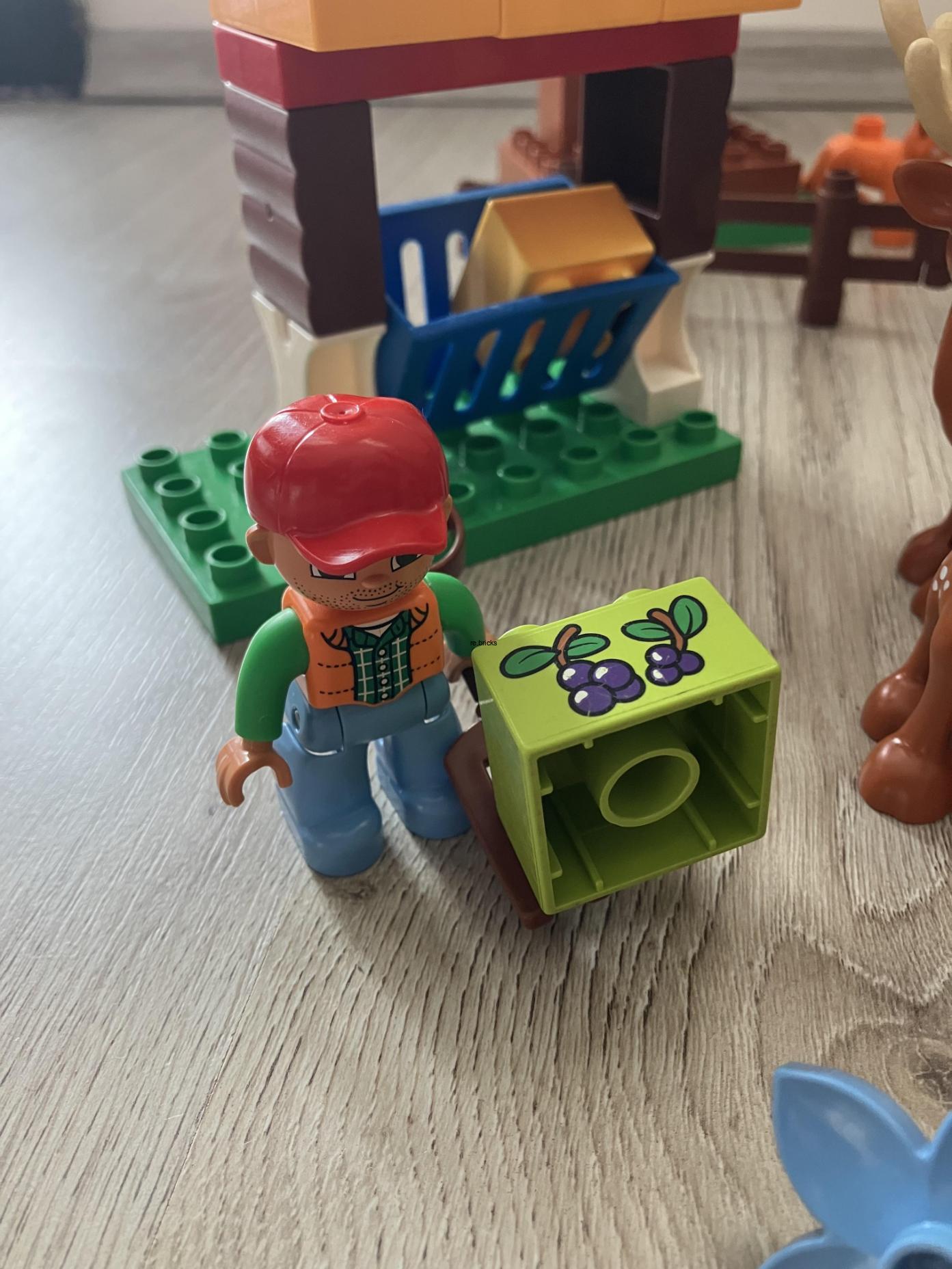 Lego® Duplo® 10584 Lesopark