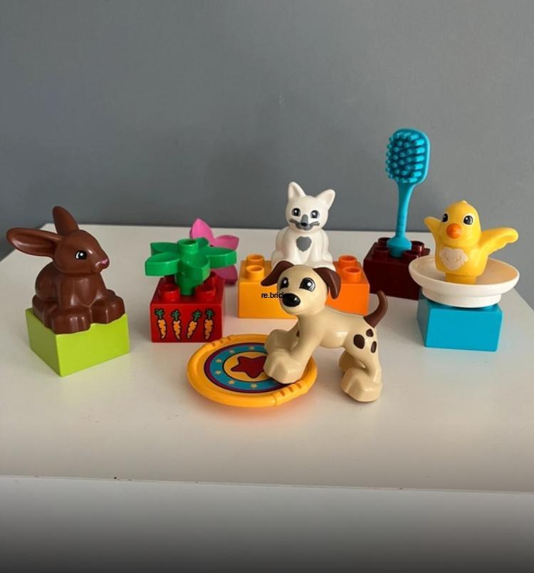 Lego Duplo 10838 Domácí mazlíčci