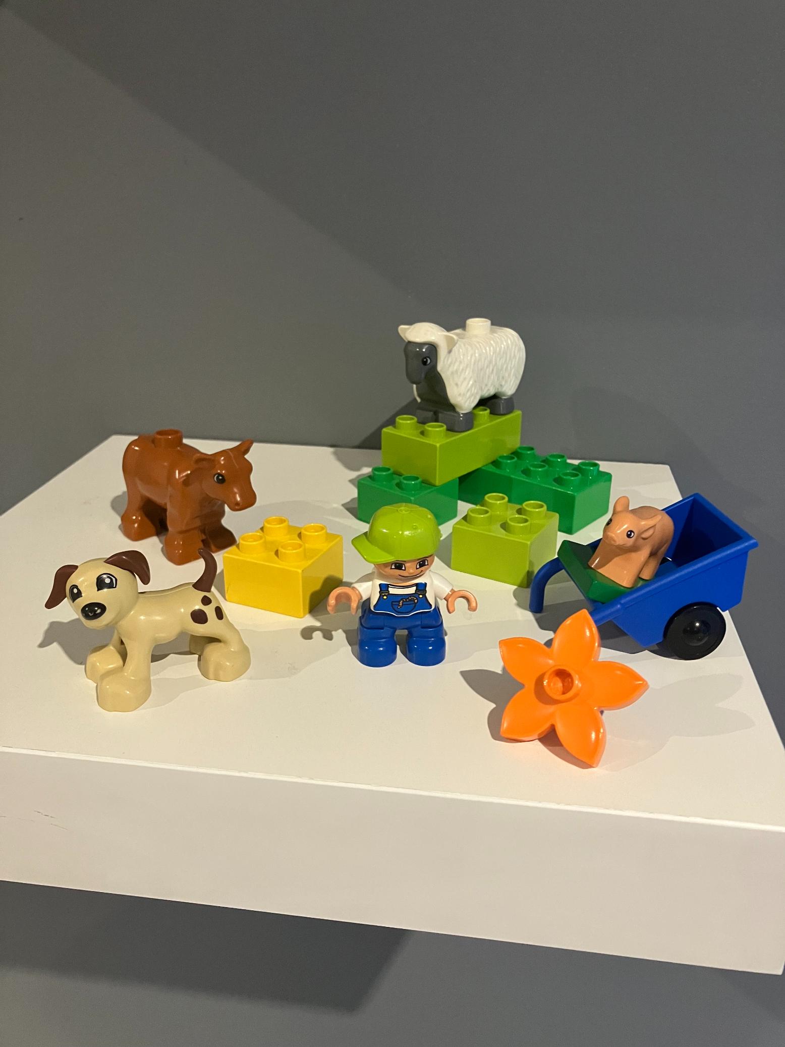 LEGO Duplo 4972 Zvířátka domácí