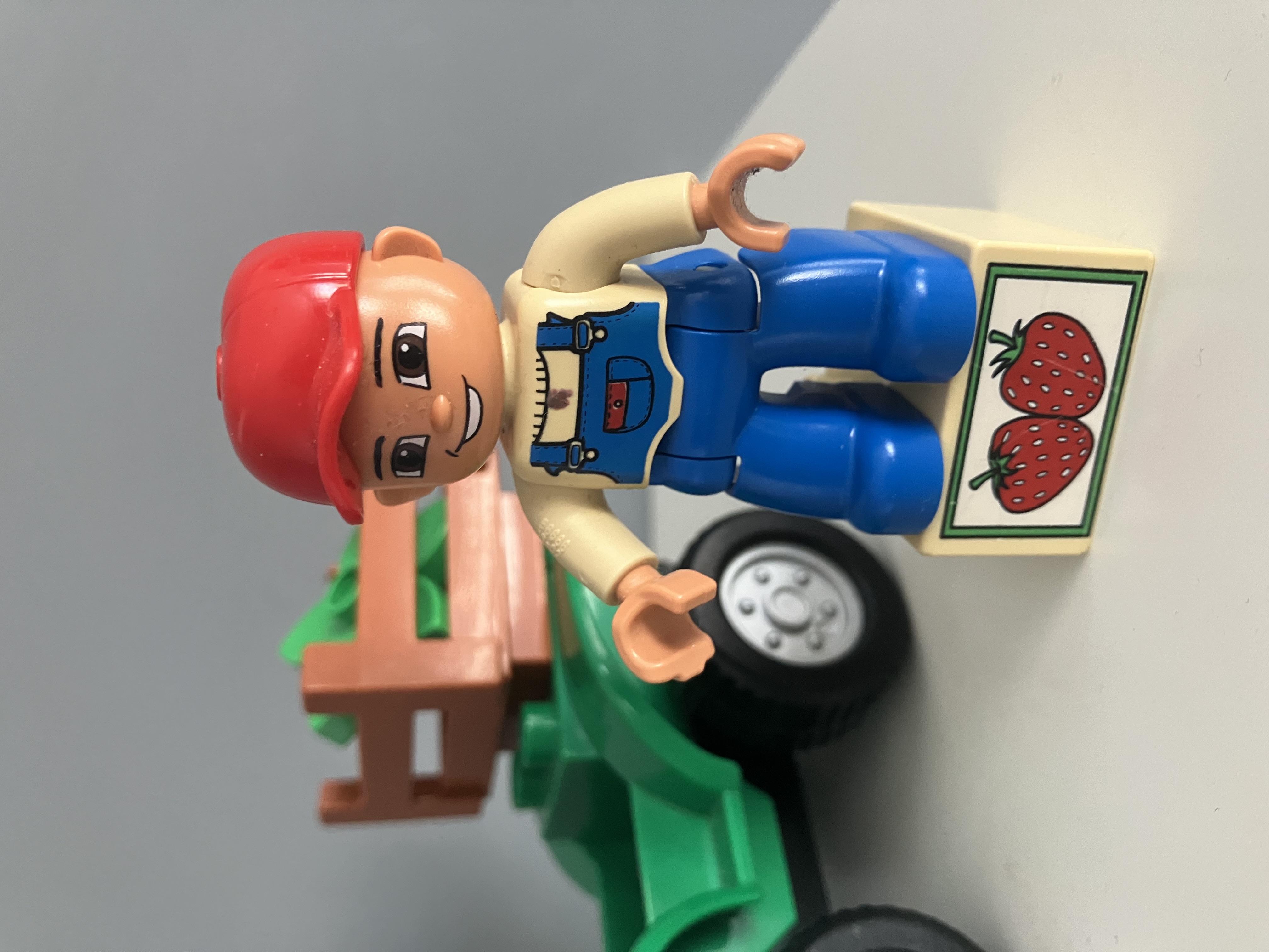 LEGO® Duplo® 5645 Farmářova čtyřkolka