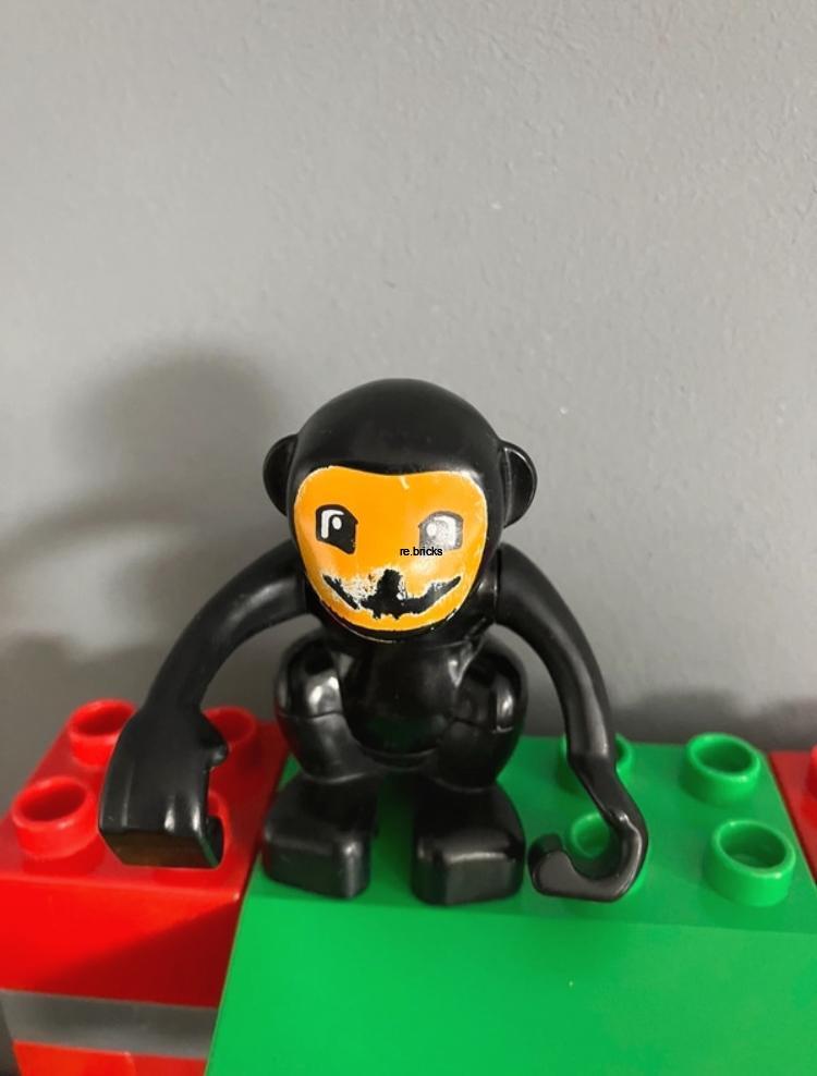 LEGO® Duplo 6158 Klinika pro zvířata