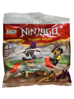 LEGO® 30675 Figurky Cole / Dragons Rising