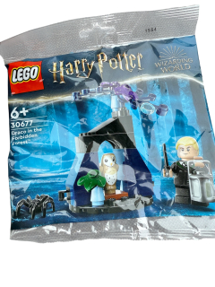 LEGO® HARRY POTTER™ 30677 Draco v Zapovězeném lese